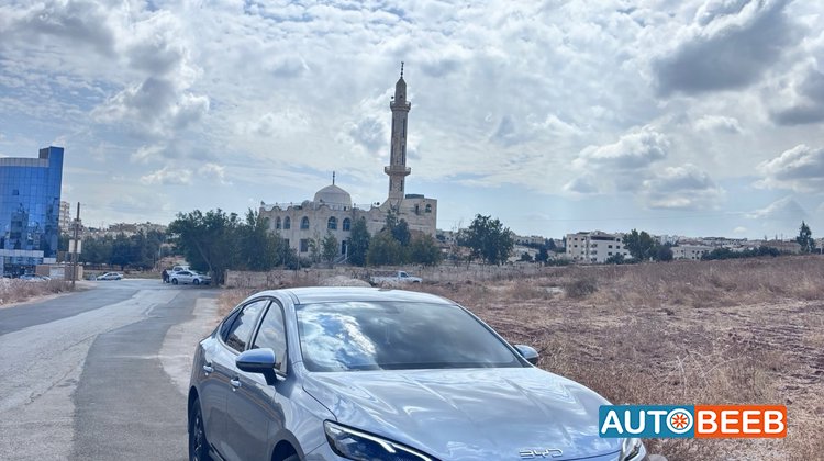 بي واي دي سيل 2025