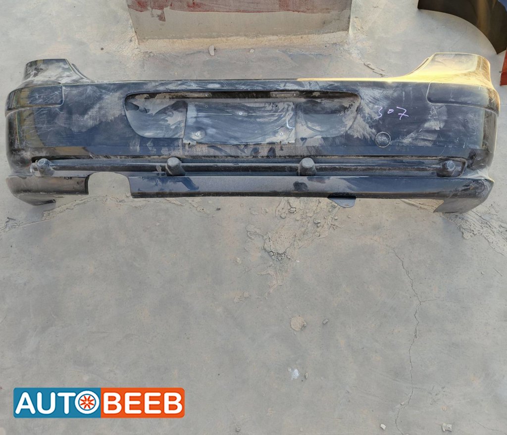 طمبون خلفي 307 كشف