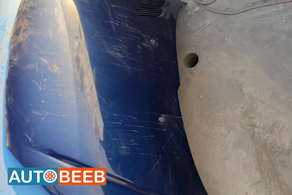 Body Hood Peugeot 206