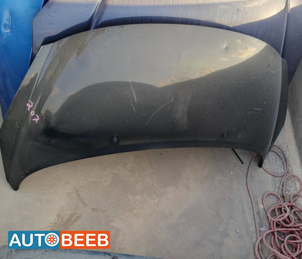 Body Hood Peugeot 207