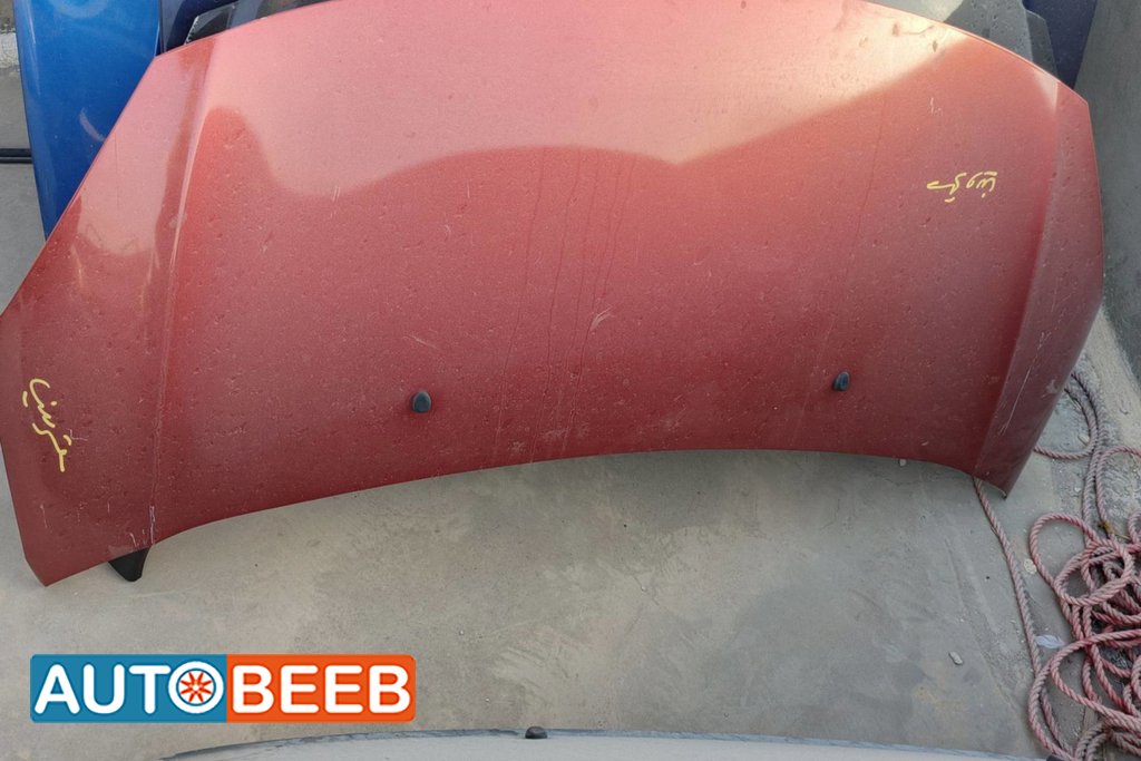 Body Hood Citroen C3
