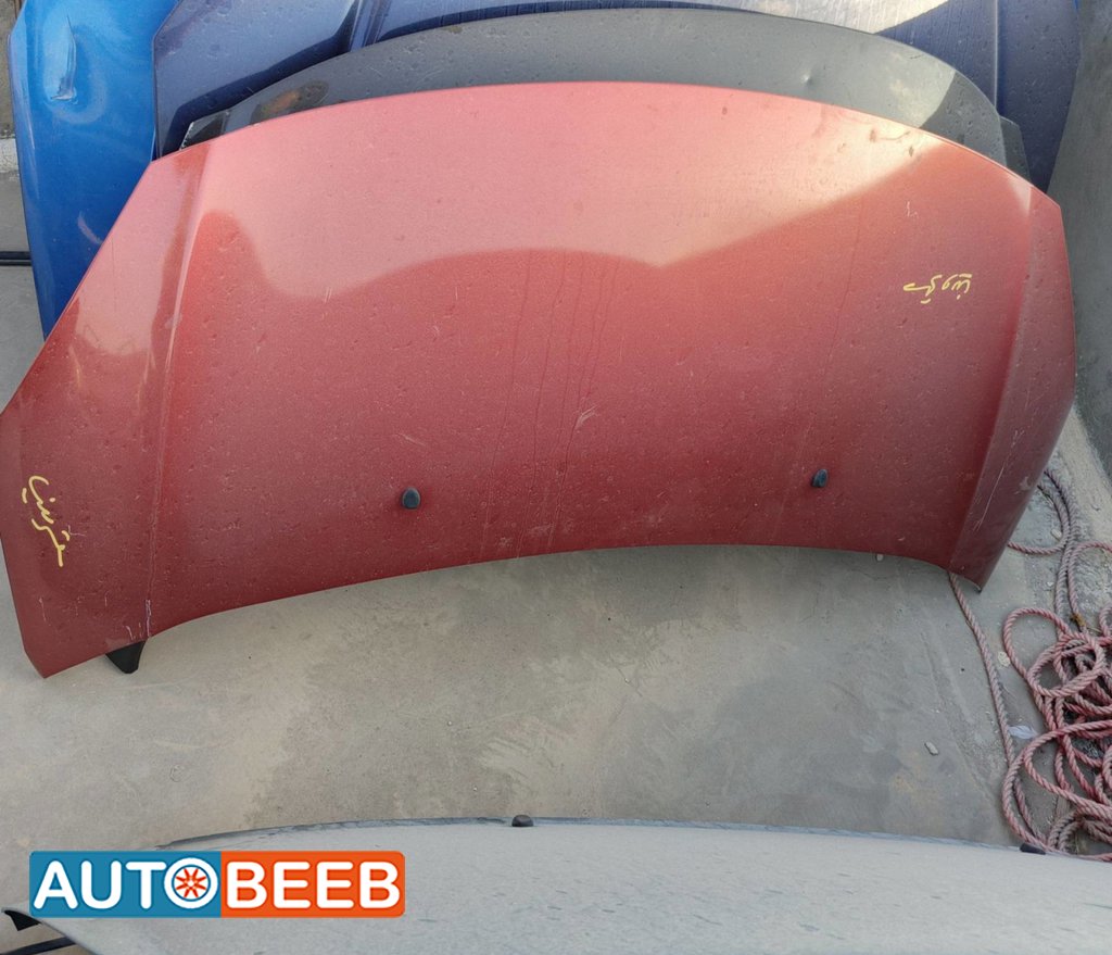 Body Hood Citroen C3
