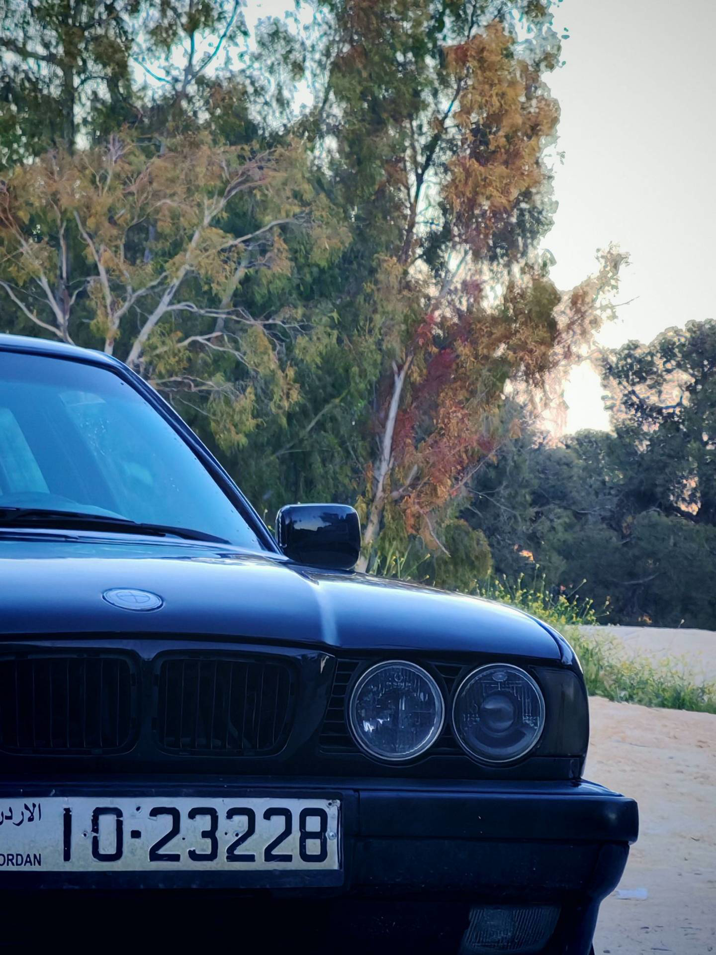 BMW 520 1995