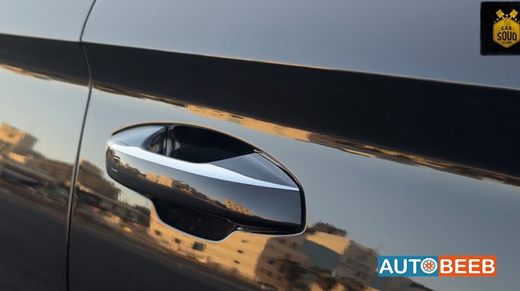 بي واي دي سونج بلس 2025