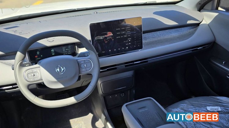 دونج فينج فيجو 2027