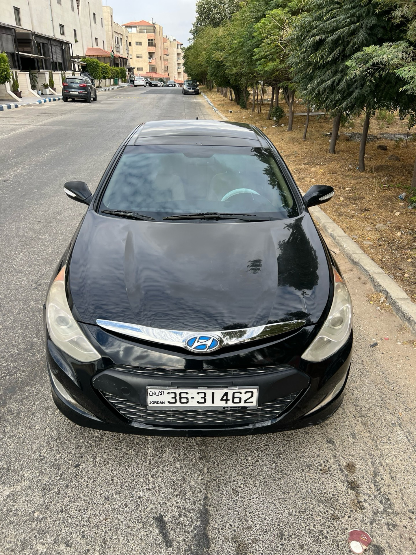Hyundai Sonata 2013