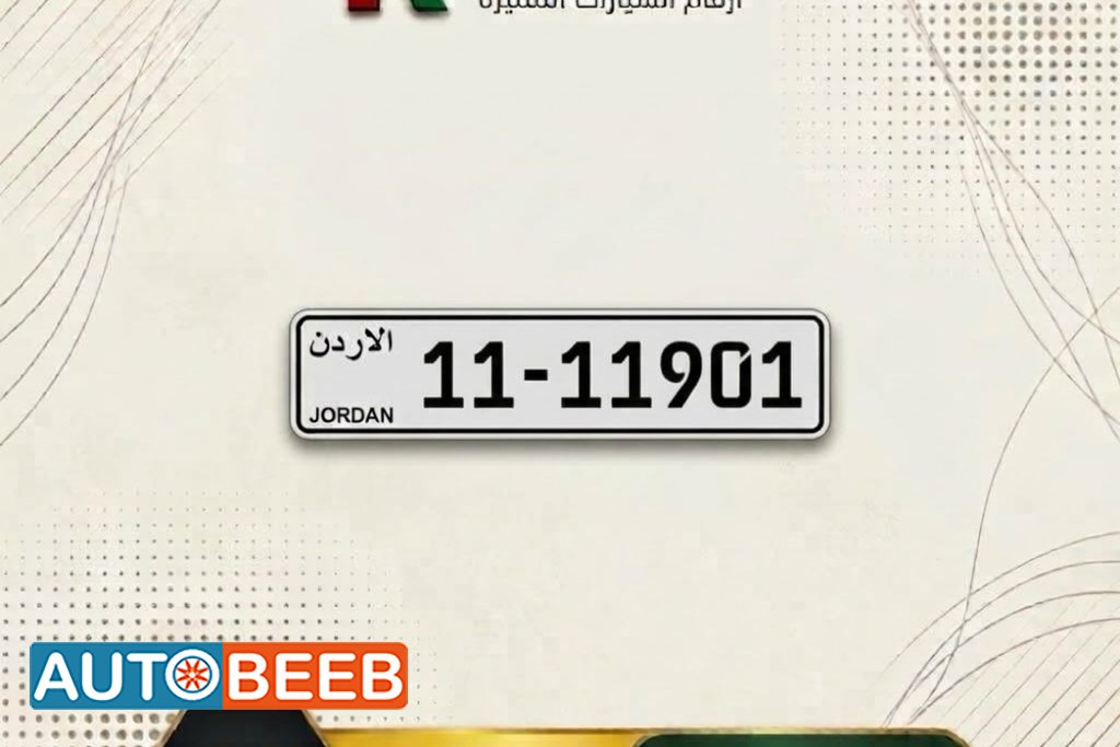 11-11901