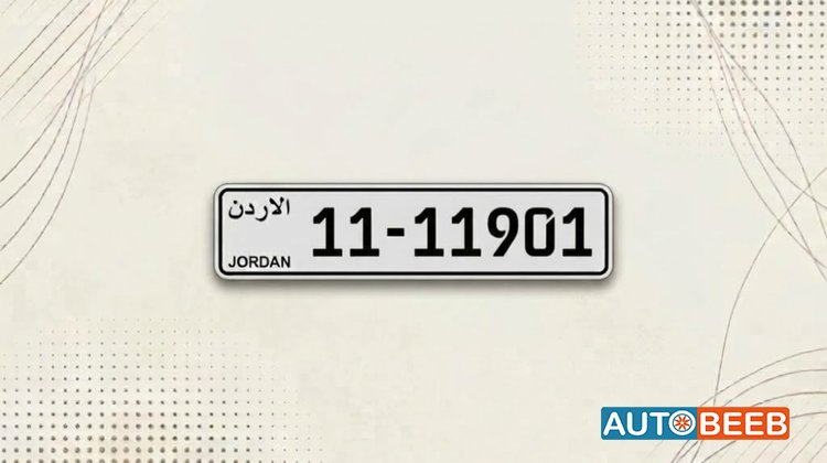 11-11901