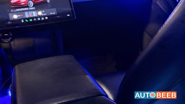 Tesla 3 2022