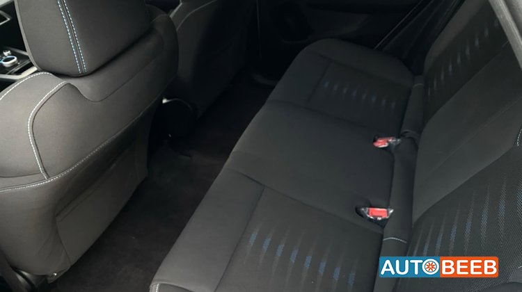 BYD E2 2020