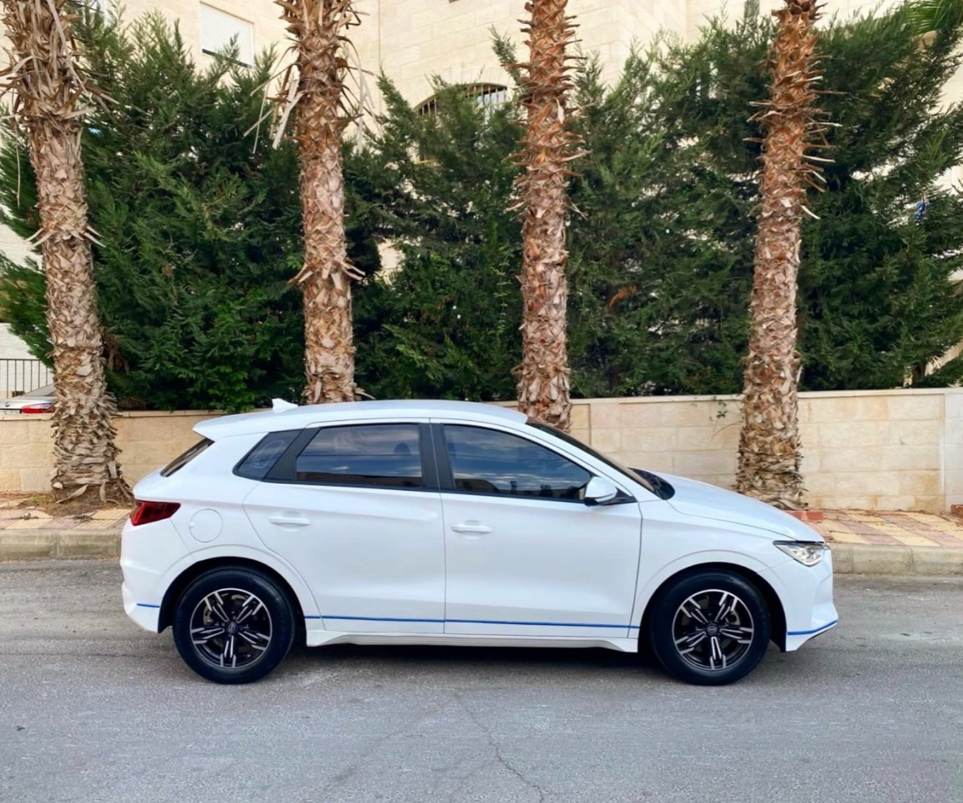 BYD E2 2020