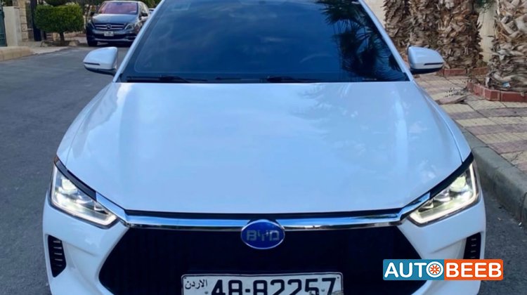BYD E2 2020