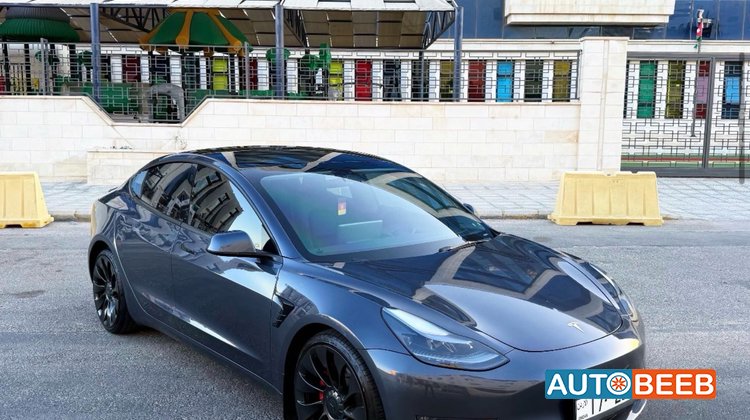 Tesla 3 2023