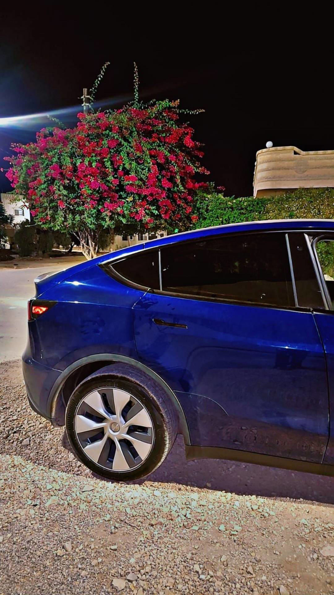 Tesla Y 2020