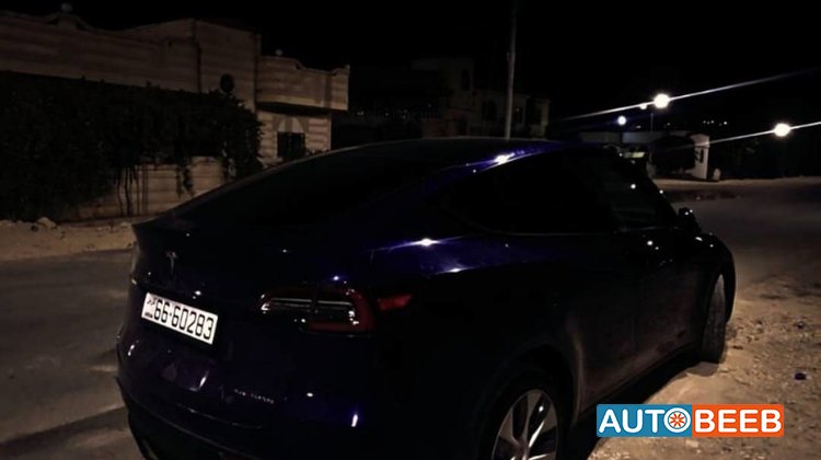 Tesla Y 2020