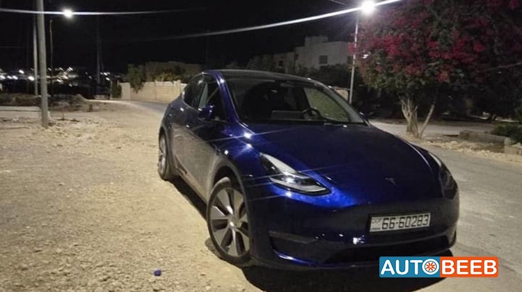 Tesla Y 2020