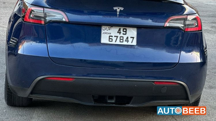 Tesla Y 2021