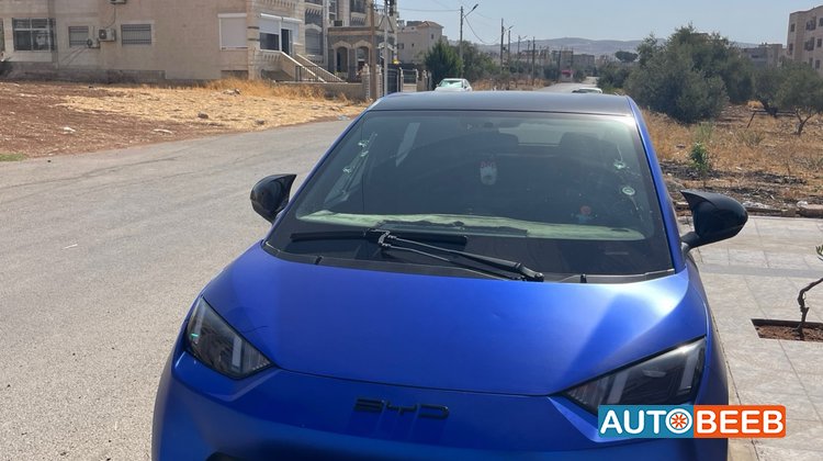BYD Seagull 2023