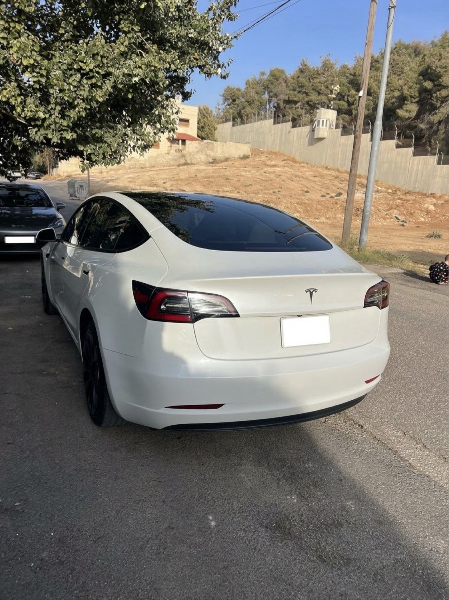 تيسلا 3 2023