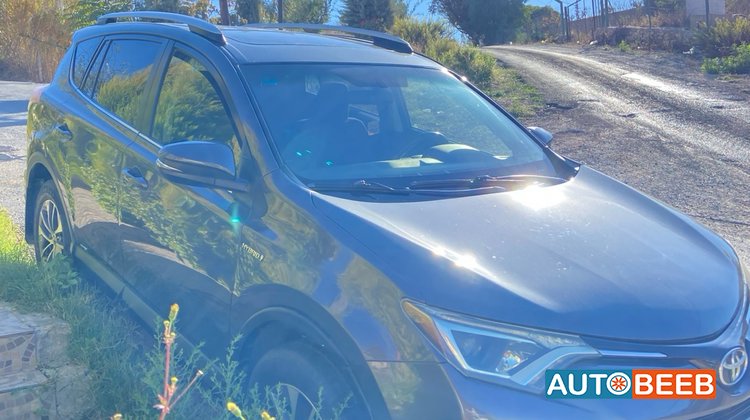 Toyota RAV4 2017