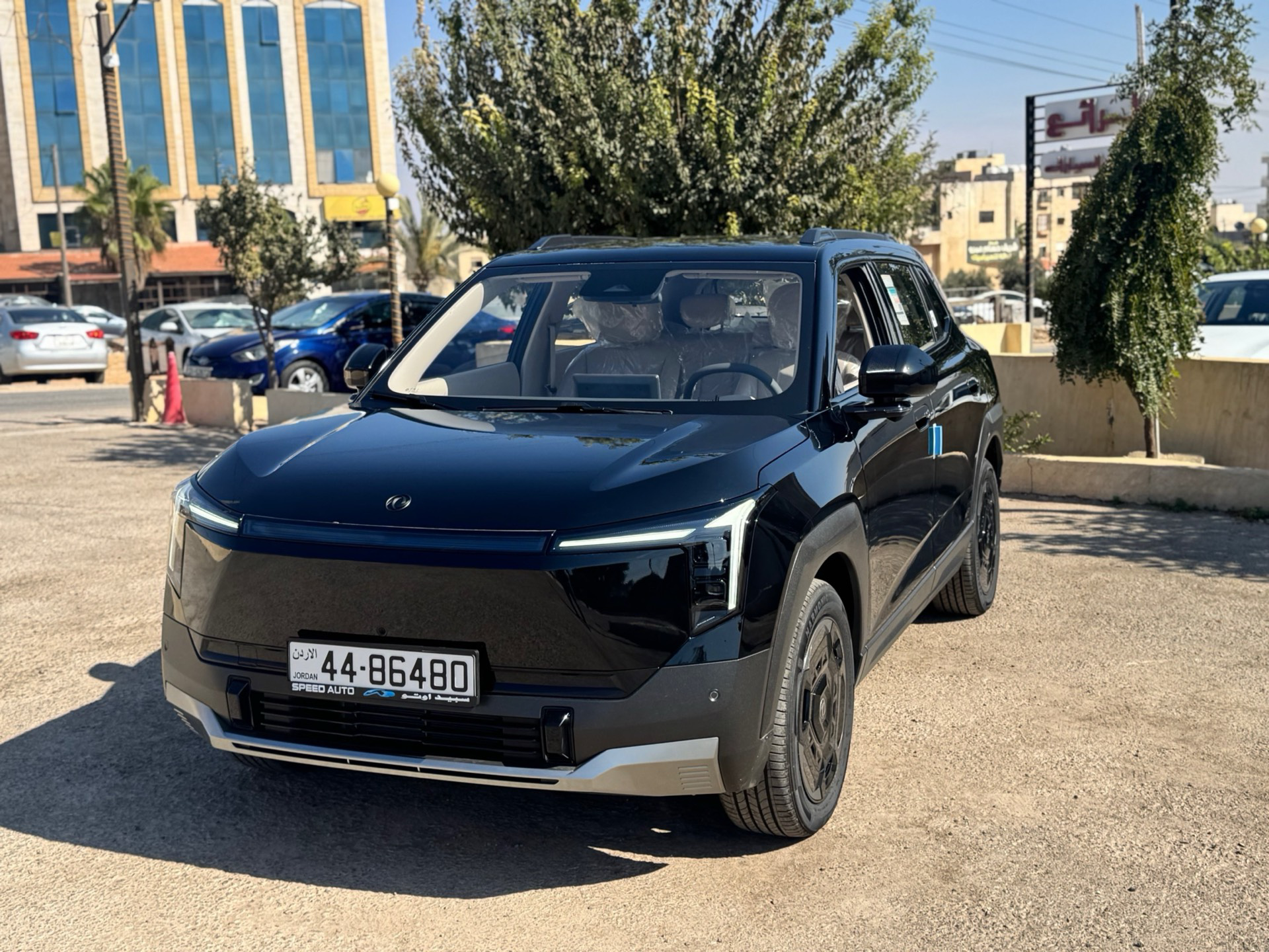 دونج فينج فيجو 2027