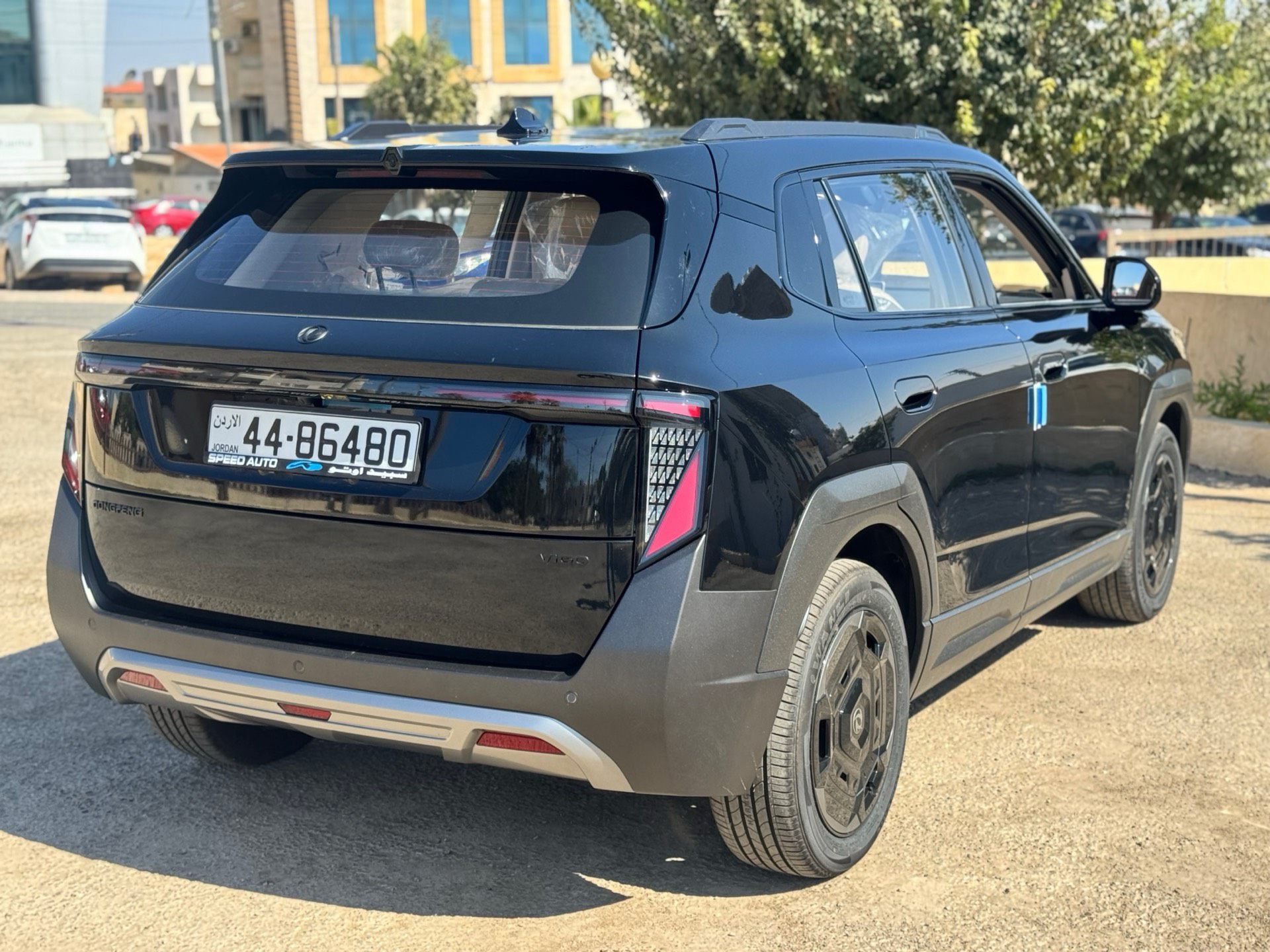 دونج فينج فيجو 2027