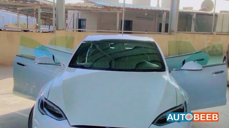 Tesla S 2018