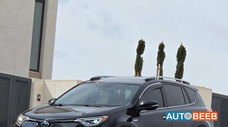 Toyota RAV4 2017
