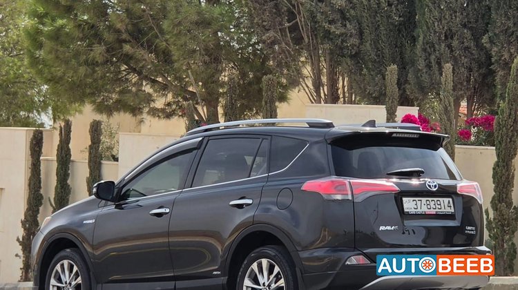 Toyota RAV4 2017