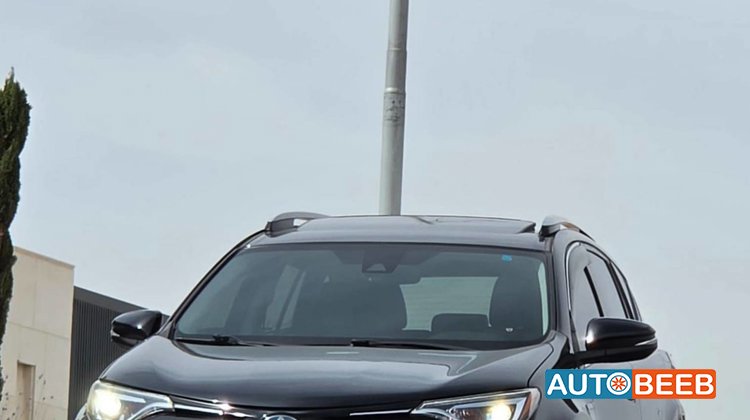 Toyota RAV4 2017