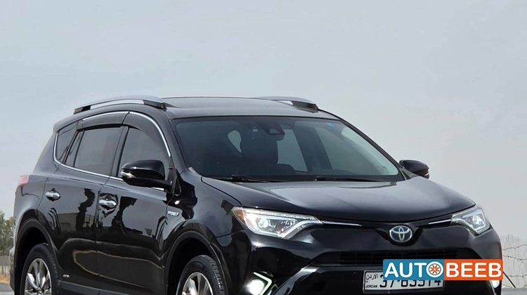 Toyota RAV4 2017