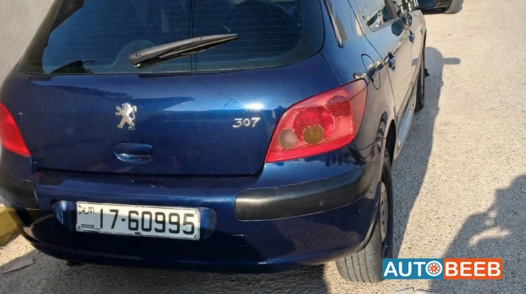 Peugeot 307 2003
