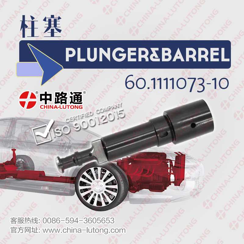 Diesel Engine Fuel Pump Plunger 60.111107310