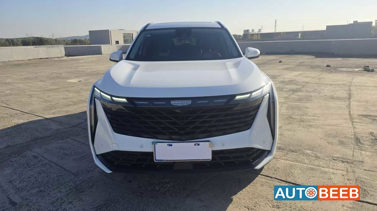 جيلي بويوي 2023