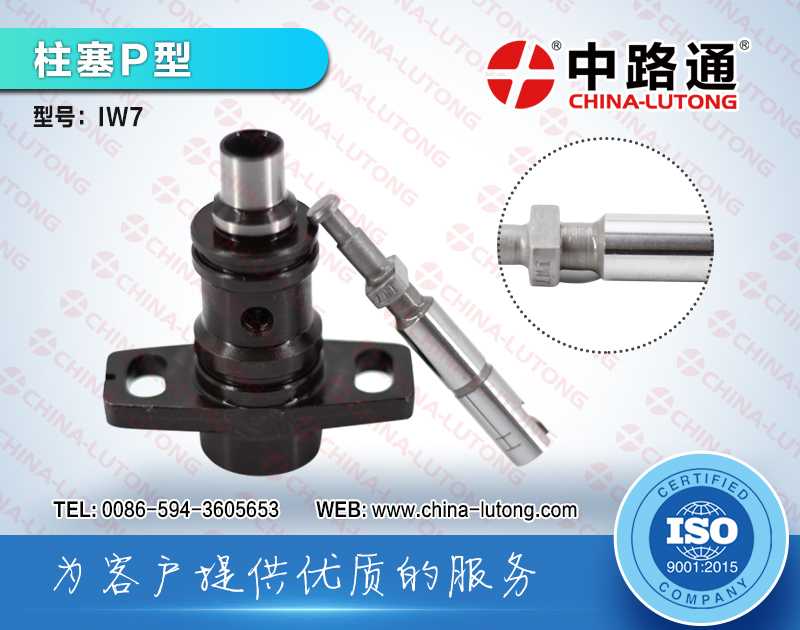 Diesel Pump Plunger XY9IW40 IW7 
