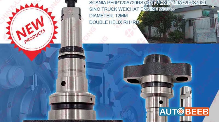 2 418 455 129 Plunger and Barrel Assembly Element for Scania Bosch