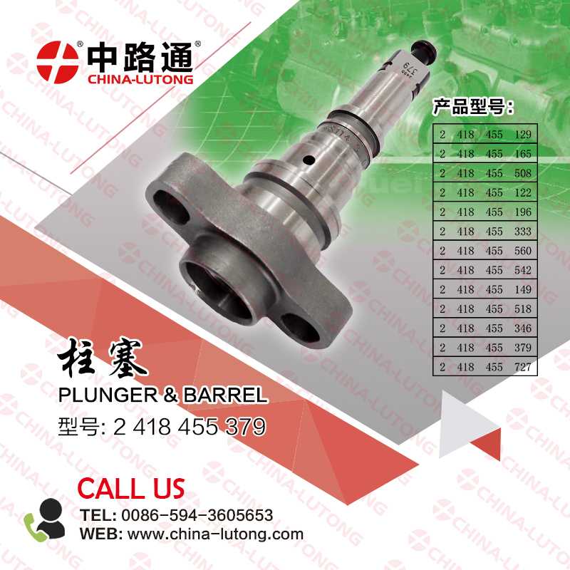 Fuel Injector Pump Element 2418455379 for Trucks DAF
