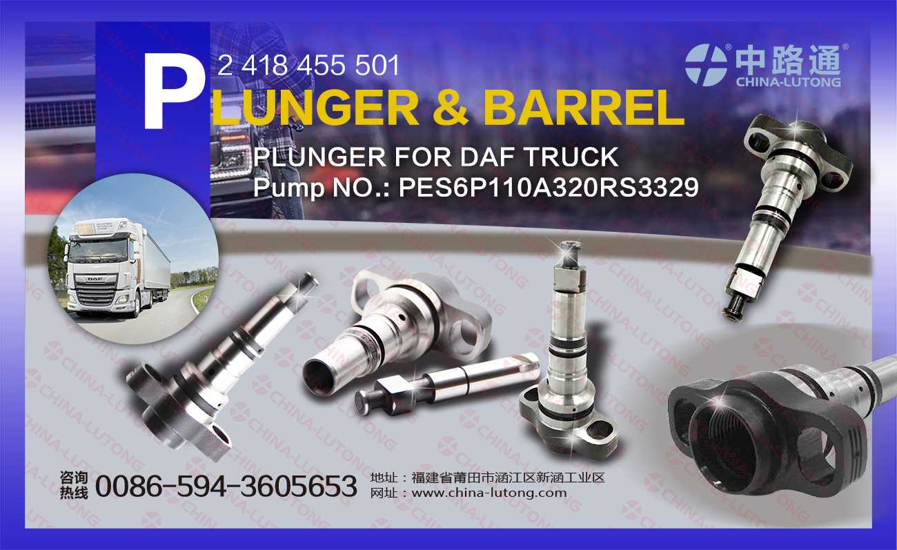 Mechanical Fuel Injection Parts Plunger 2418455501for Doosan 