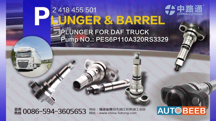 Mechanical Fuel Injection Parts Plunger 2418455501for Doosan 
