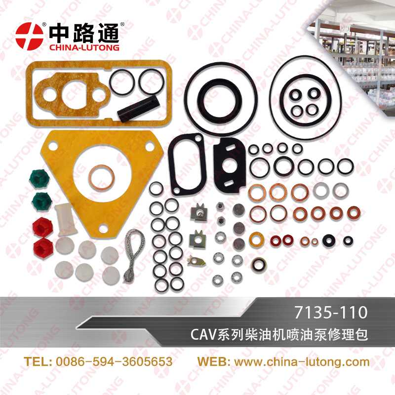 Massey Ferguson CAV Injector Pump Repair Kit CAV 7135-110 