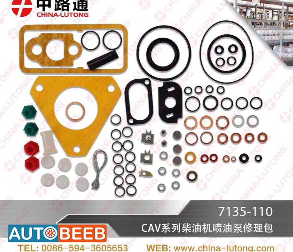 Massey Ferguson CAV Injector Pump Repair Kit CAV 7135-110 