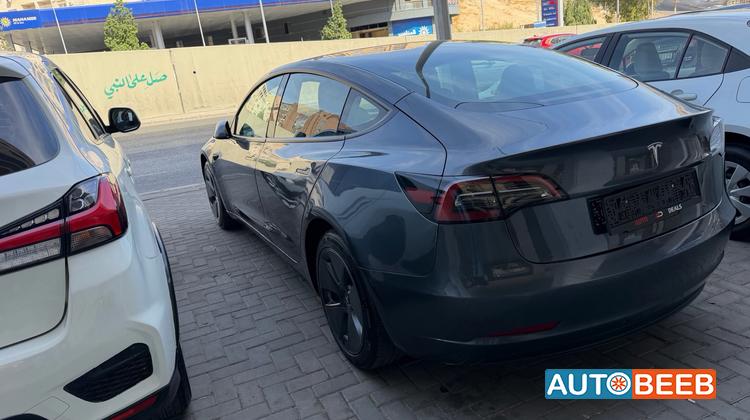 Tesla 3 2023