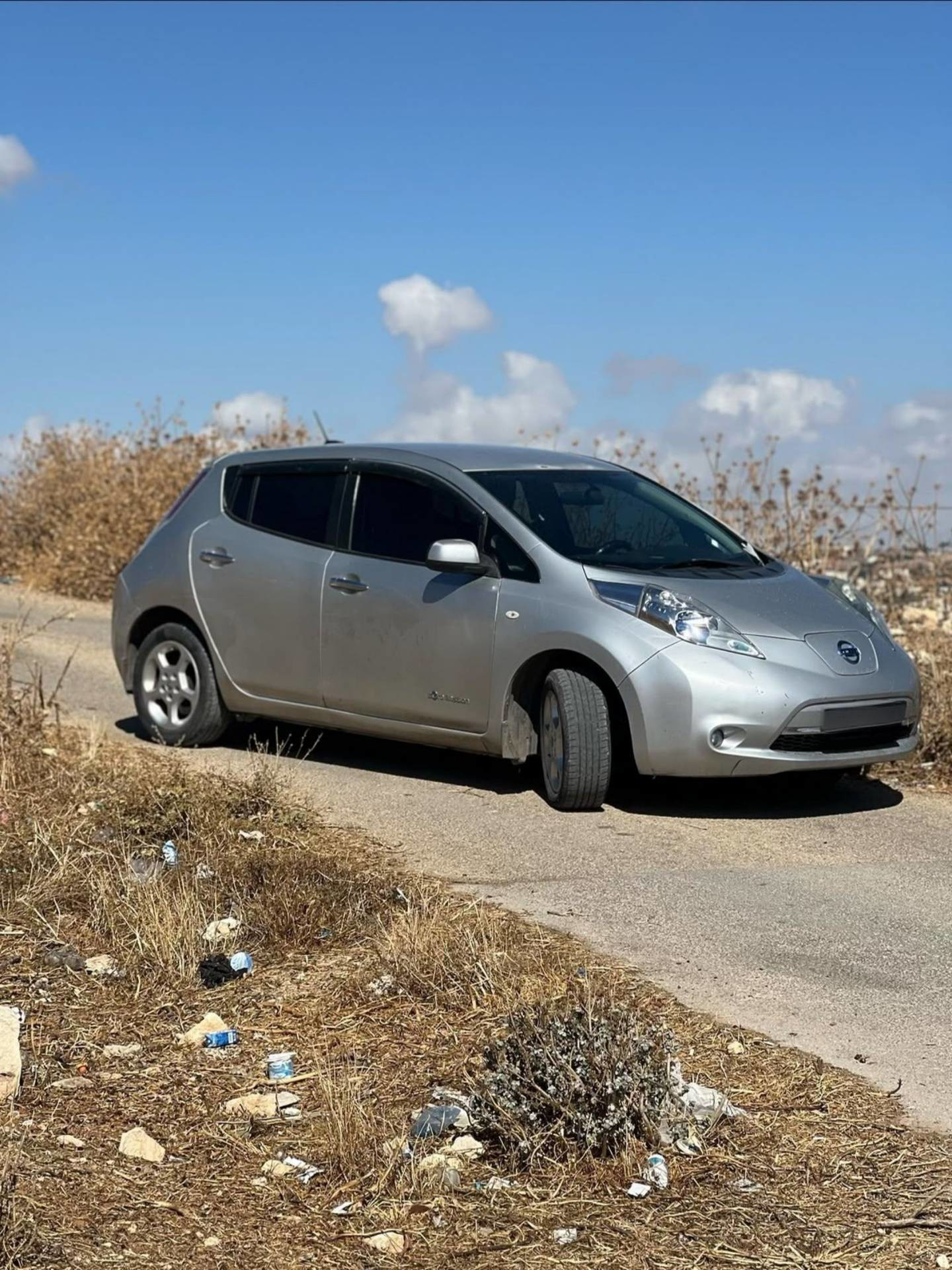 Nissan Leaf 2015