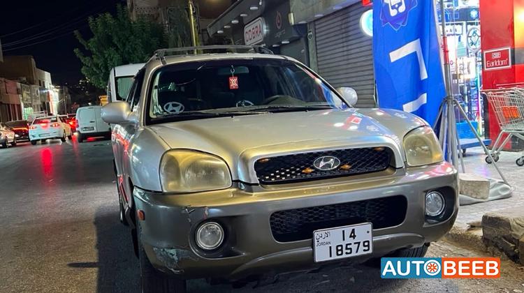 Hyundai Santa Fe 2004