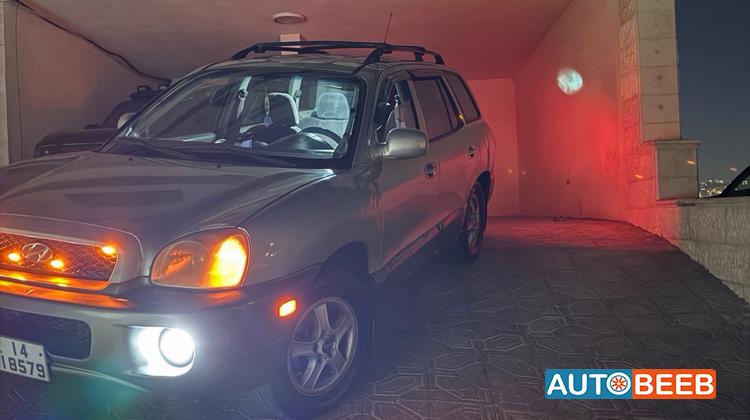 Hyundai Santa Fe 2004