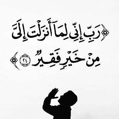 حمزه النسور 