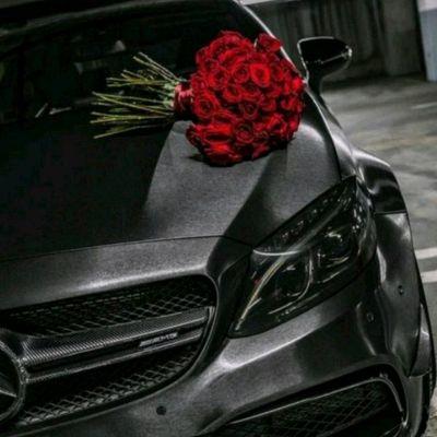 Qays T Al-ashqar 