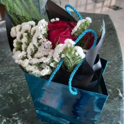 أبو أمير المومني 