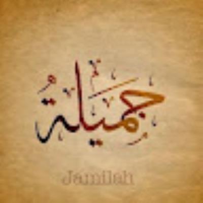 م/عادل إبراهيم وحيش